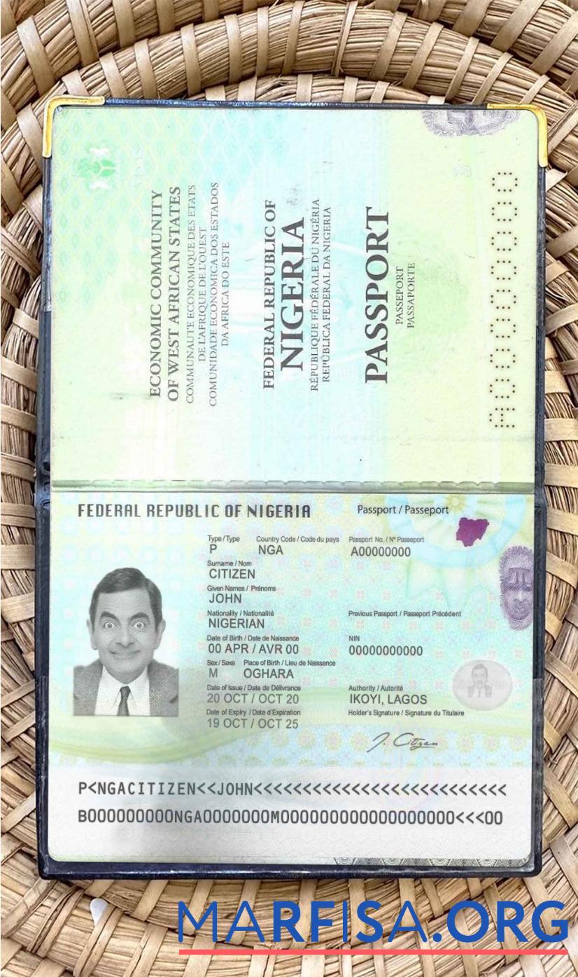 Blank Nigeria passport (2019 present) photo look sample